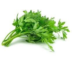 Go Fresh Corriander (Cilantro) 40 G Ea