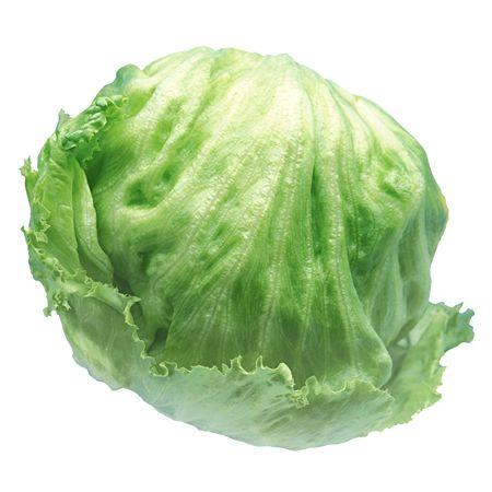 Lettuce Iceberg Each