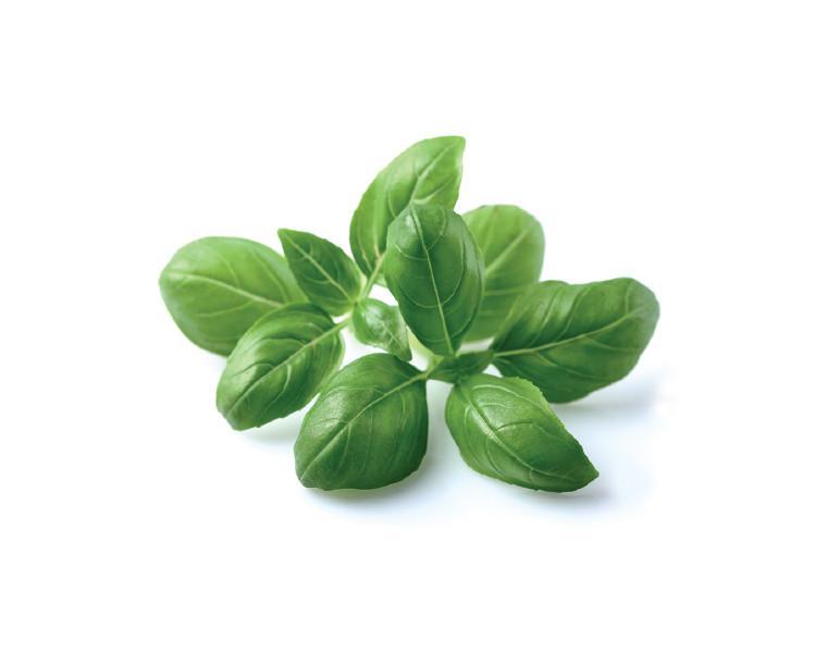 Go Fresh Basil 40 G Ea