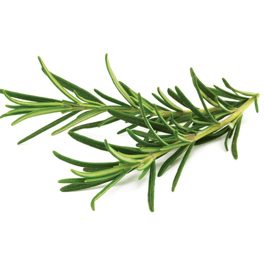 Go Fresh Rosemary 40 G Ea