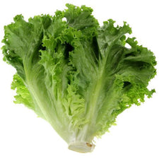 Image of Green Leaf Lettuce Bunch