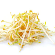 Image of Bean Sprouts 454g