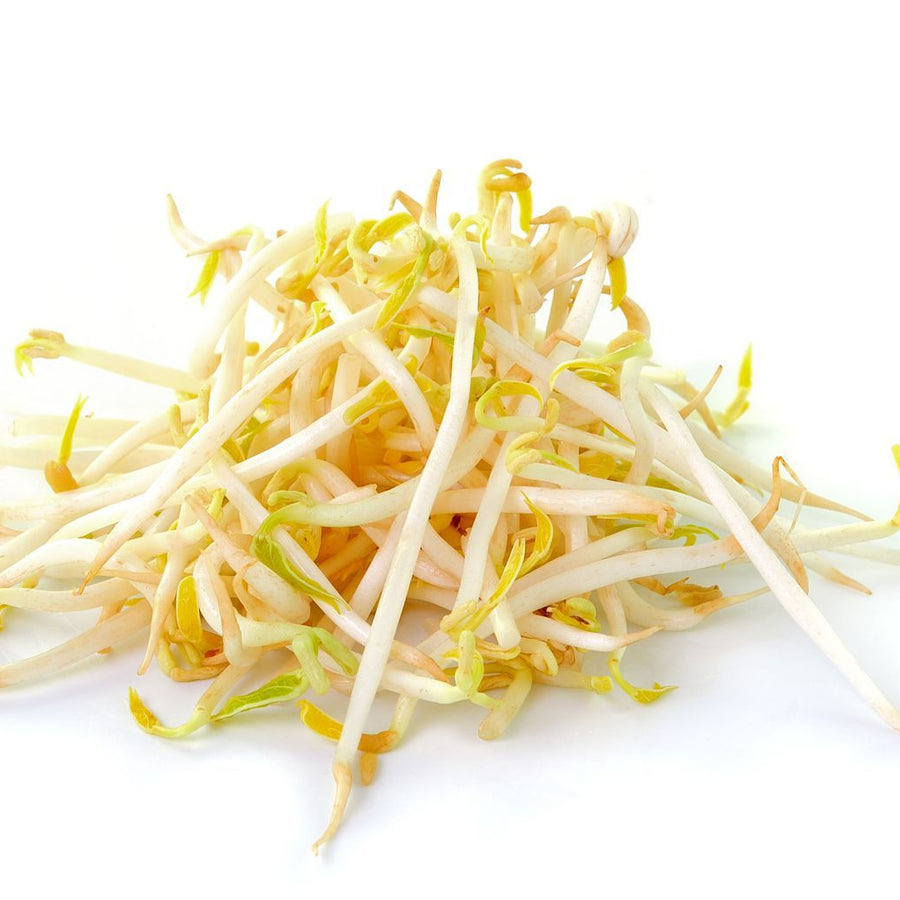 Bean Sprouts 454g