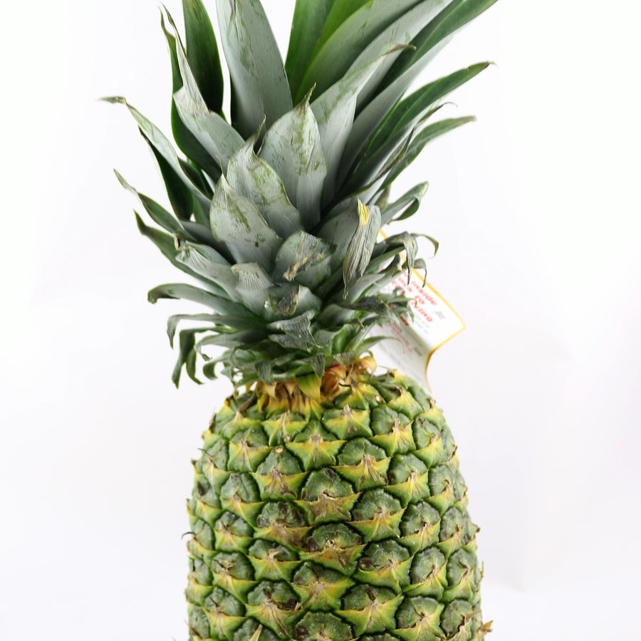 Pineapple Large