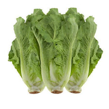 Image of Lettuce Romaine Hearts 3pk