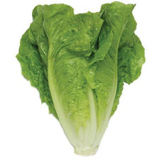 Image of Lettuce Romaine Each