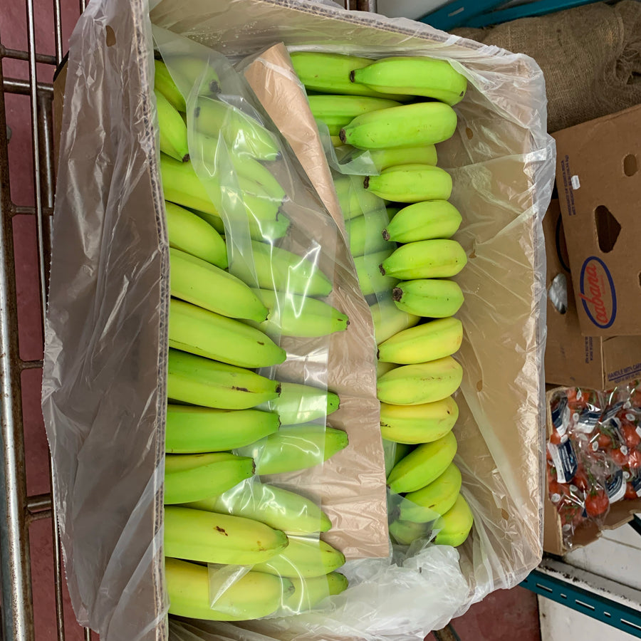 Bananas CASE 18kg