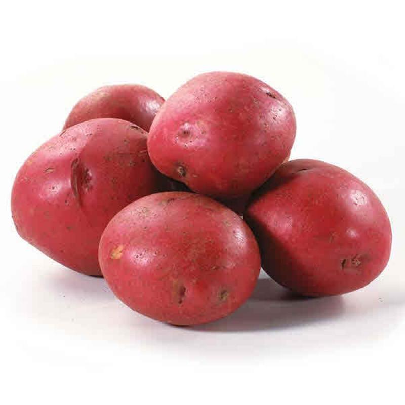 Potatoes Red 5lb